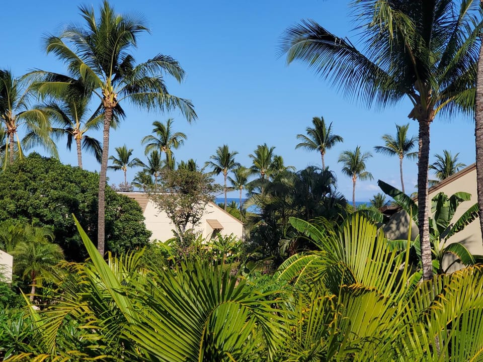 Maui Kamaole K209 Remodel in Peaceful Friendly South Maui w/Beaches Views, AC Apartment in Wailea