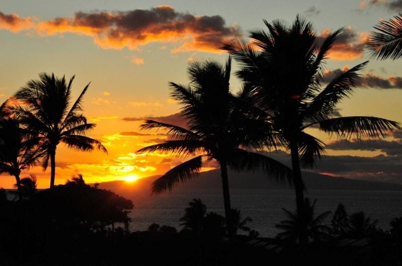 Maui Kamaole #J-120 Oceanview. Grd Flr Unit Near Kamaole III Beach, Full A/C Apartment in Wailea