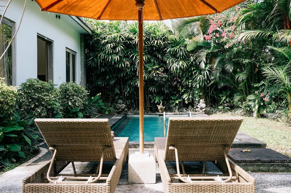 Garden view, Swimming pool, Swimming pool, sunbed