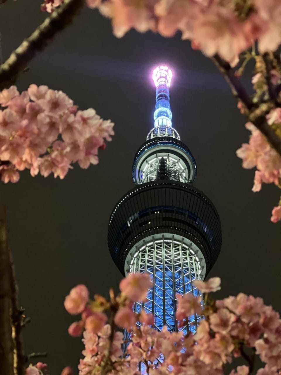 BRAND NEW Cozy 1DK near Tokyo Skytree Apartment in Japan