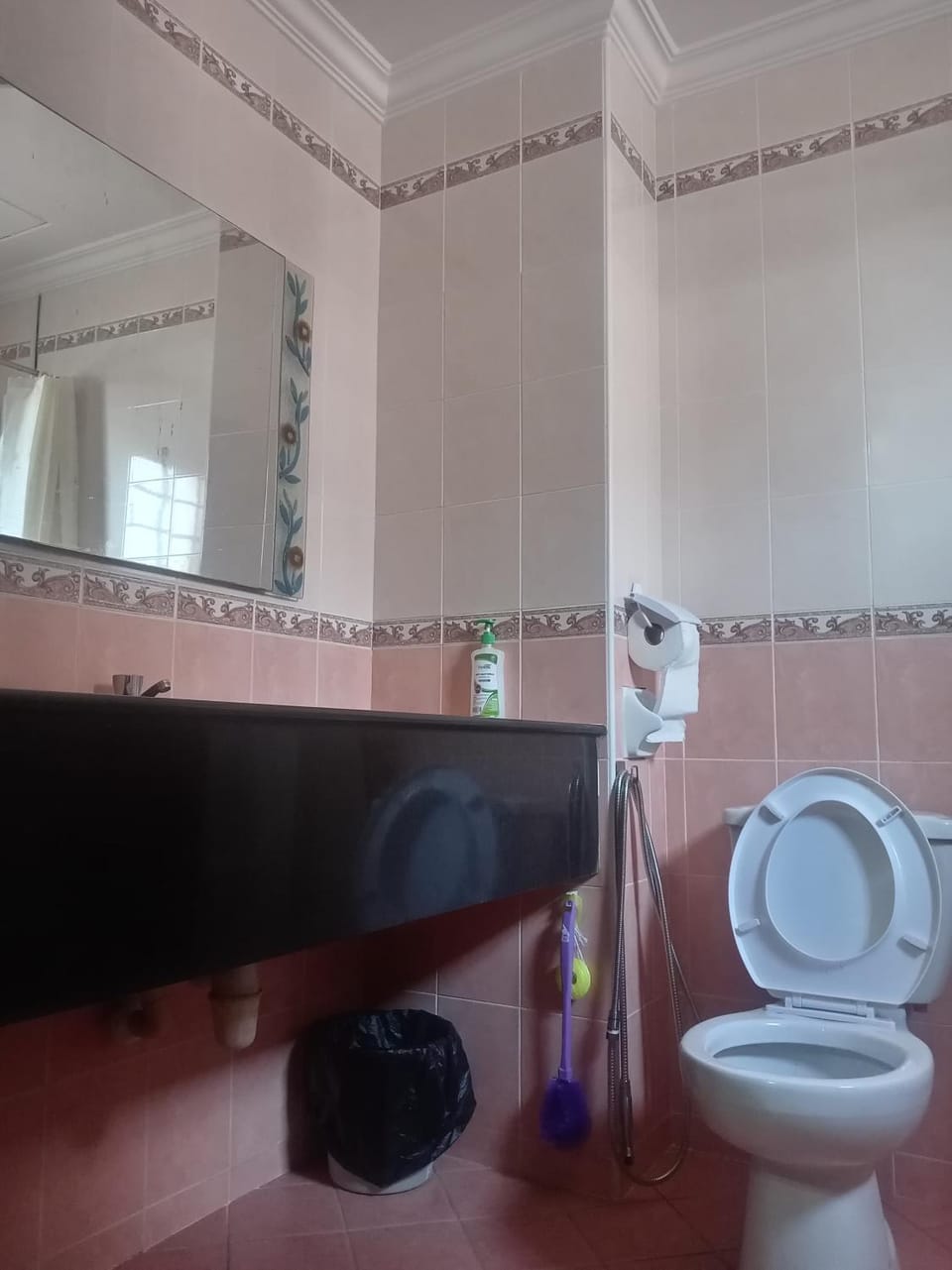 Toilet, Bathroom, bidet