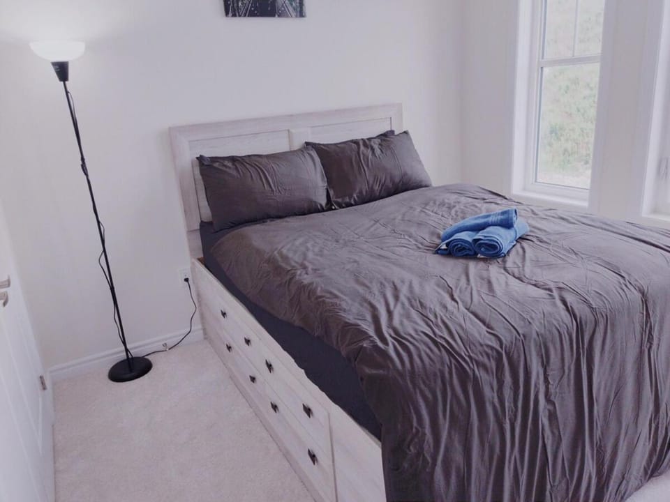 #1 Best Deal in Brampton House in Halton Hills
