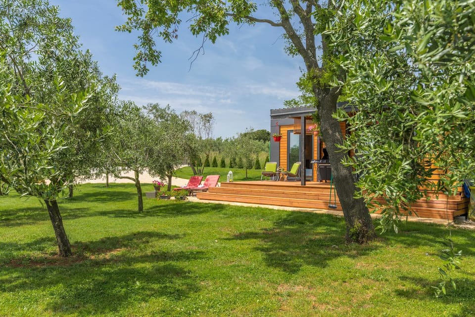 Day, Garden, Garden view