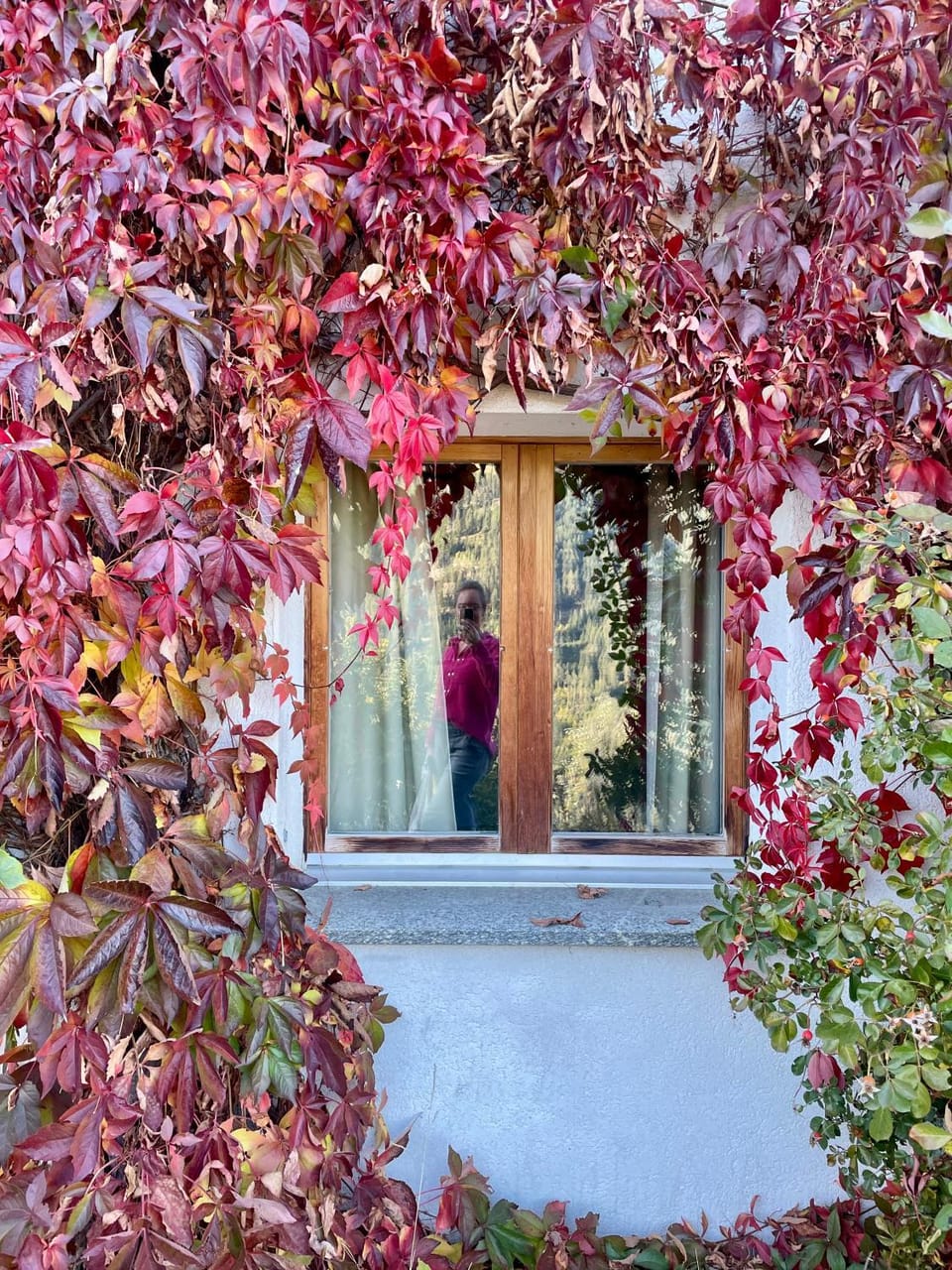 Facade/entrance, Garden, Decorative detail, Autumn