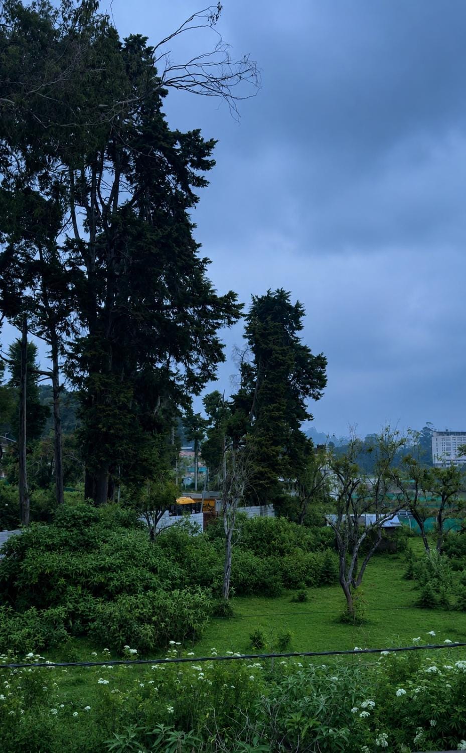 View (from property/room)