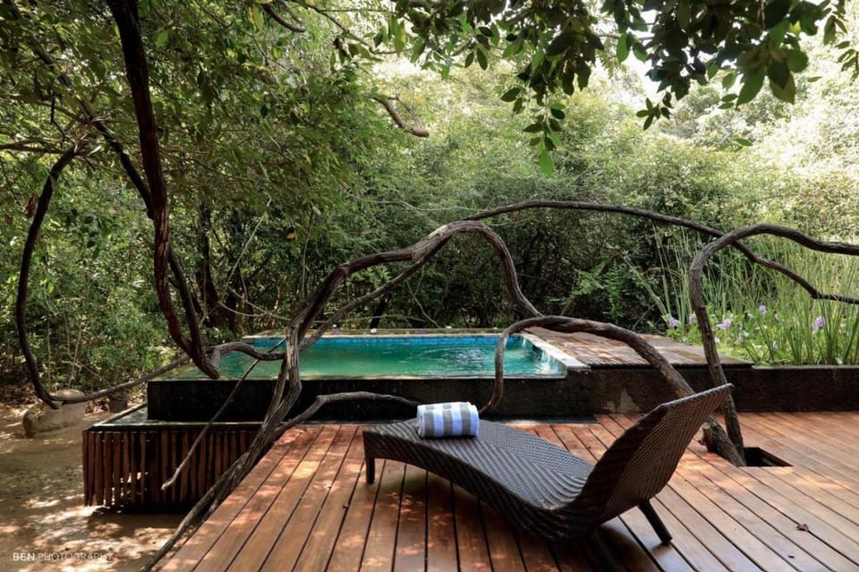 Day, Natural landscape, Garden view, Swimming pool