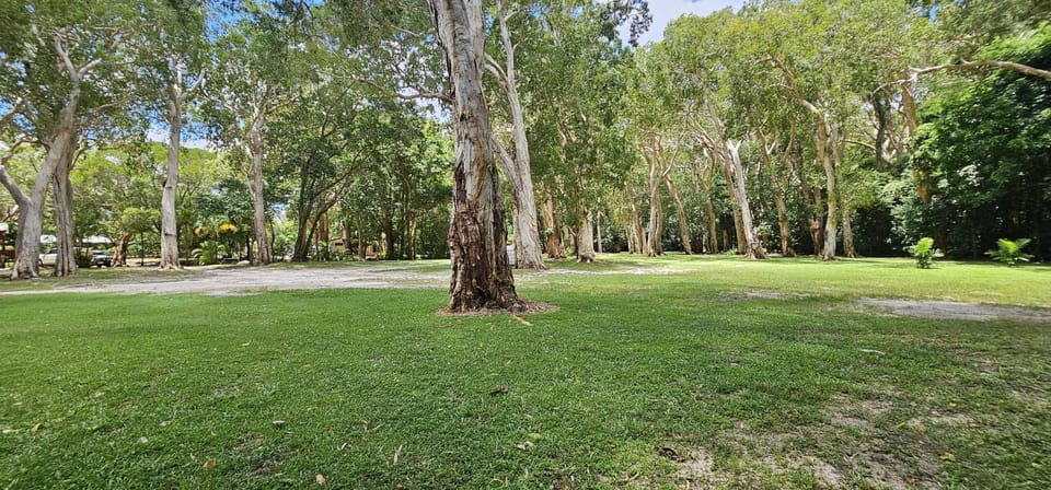 Peninsula Caravan Park Cooktown Campground/ 
RV Resort in Queensland
