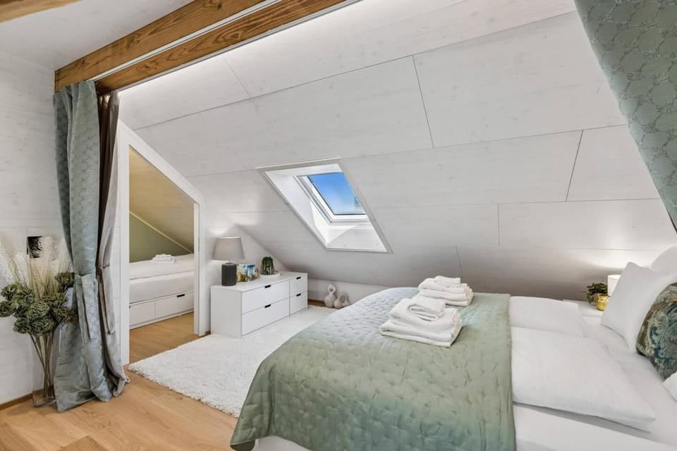 Waterfront Penthouse AC Rooftop Free Parking Apartment in Zurich City