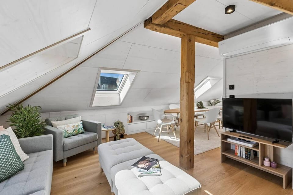 Waterfront Penthouse AC Rooftop Free Parking Apartment in Zurich City