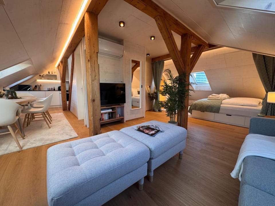 Waterfront Penthouse AC Rooftop Free Parking Apartment in Zurich City