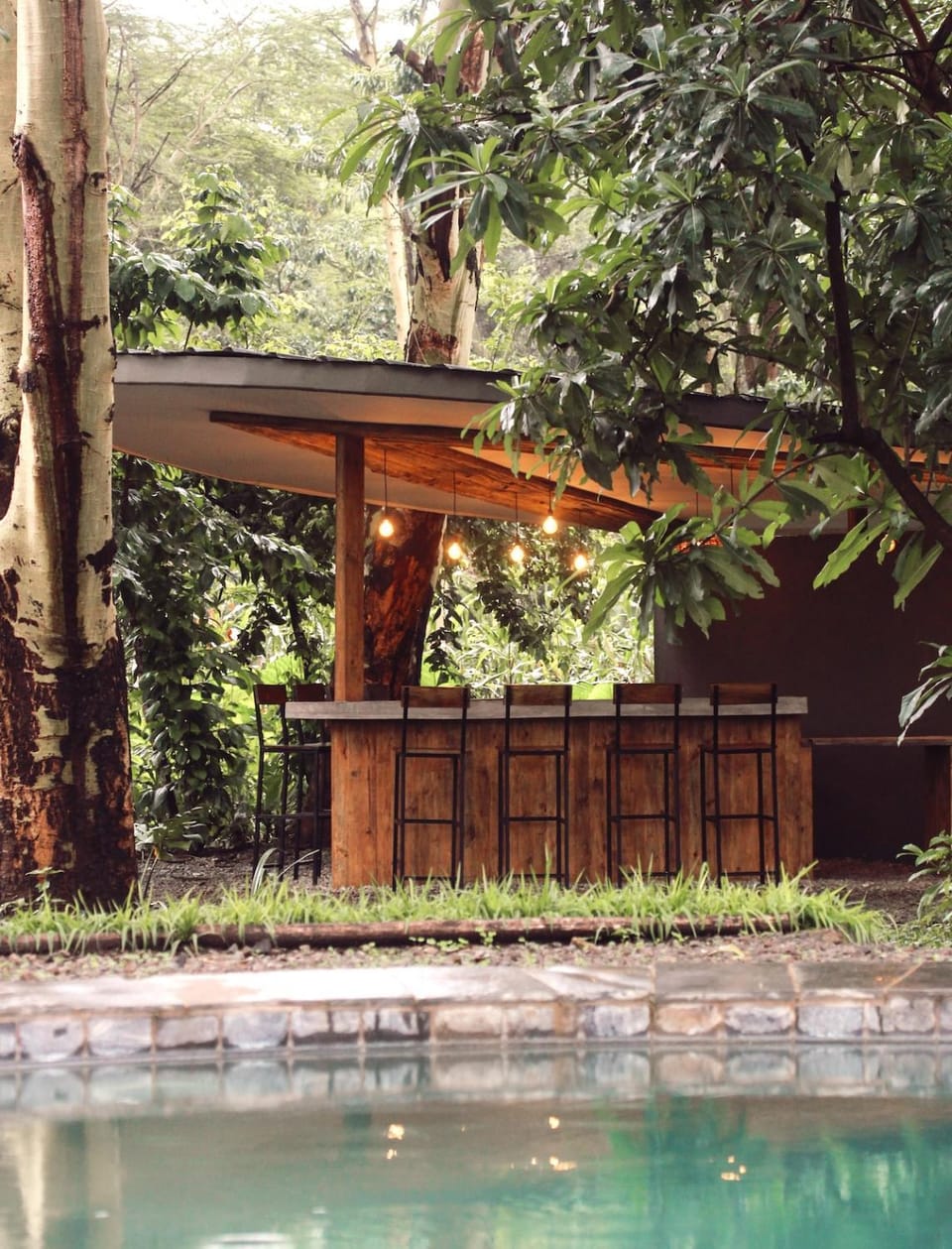 Lounge or bar, Swimming pool