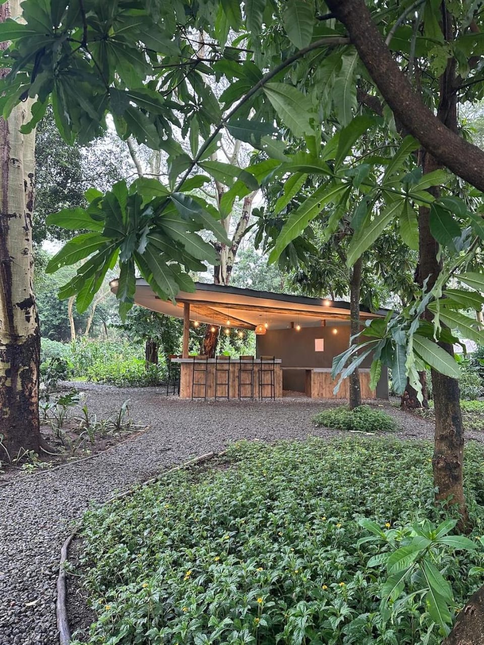 Lounge or bar