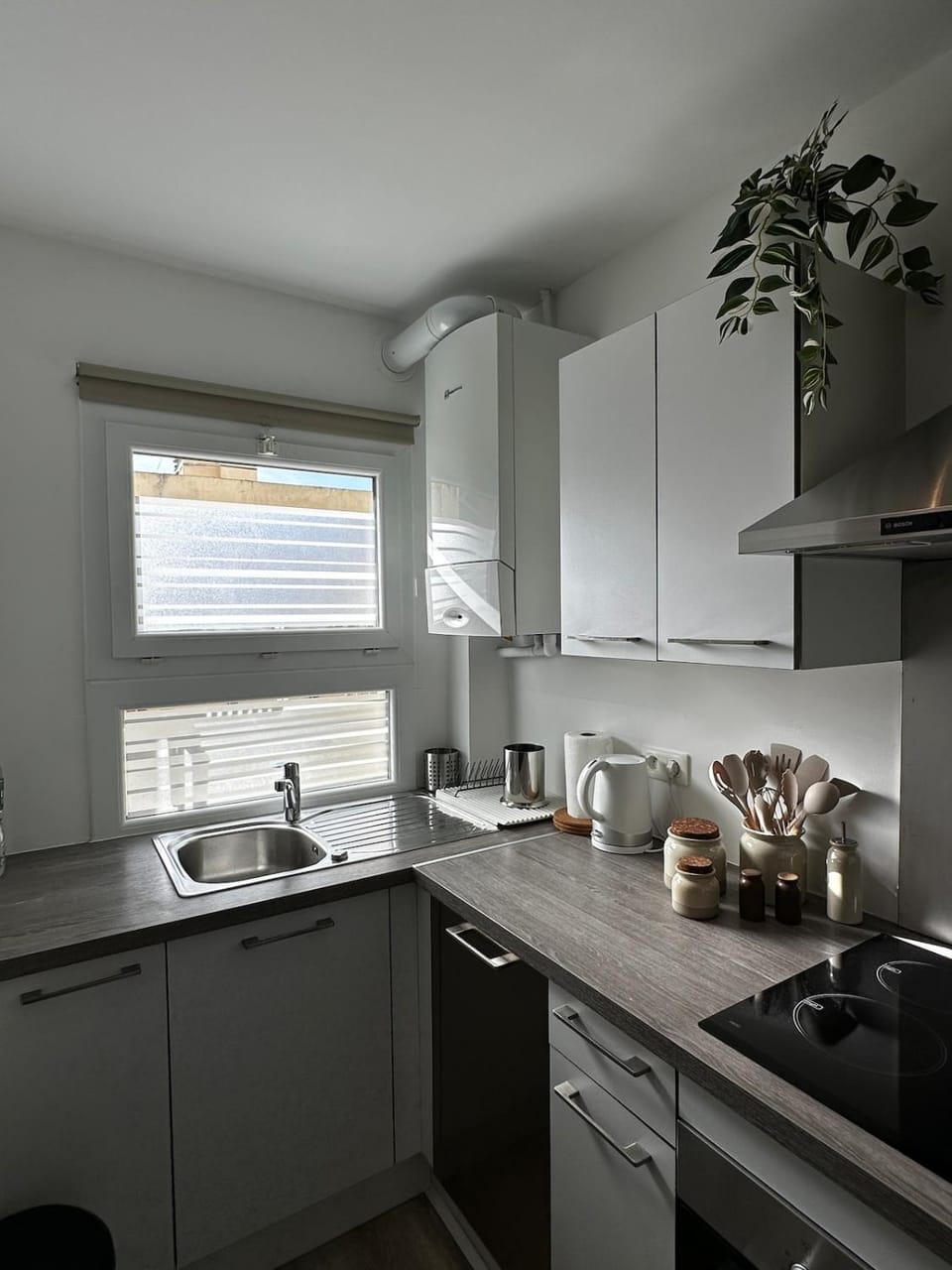 Coffee/tea facilities, Kitchen or kitchenette, dishwasher, minibar, stove