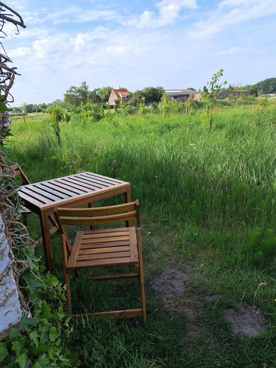 Garden, Garden view