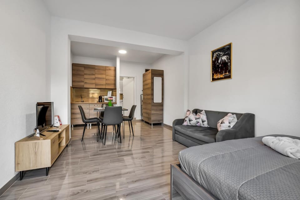 Bed, TV and multimedia, Kitchen or kitchenette, Living room, Photo of the whole room, Seating area, Dining area, Bedroom