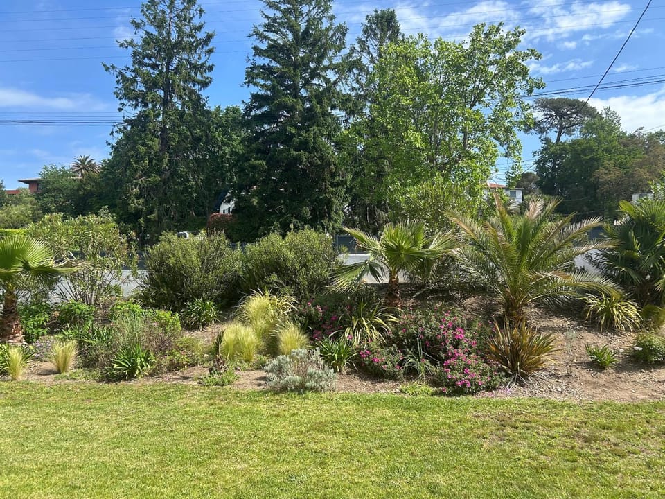Garden view