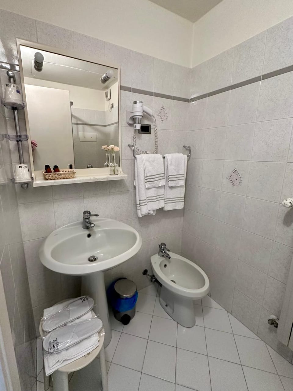 Bathroom, bidet, towels