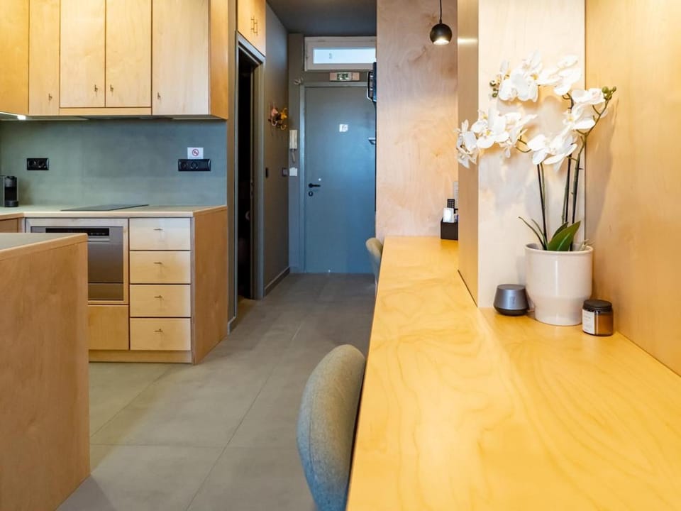 Downtown photographer's studio 2 Apartment in Euboea