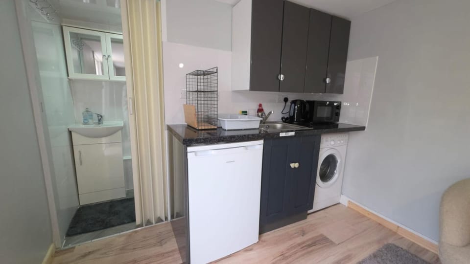 Kitchen or kitchenette, dishwasher, stove
