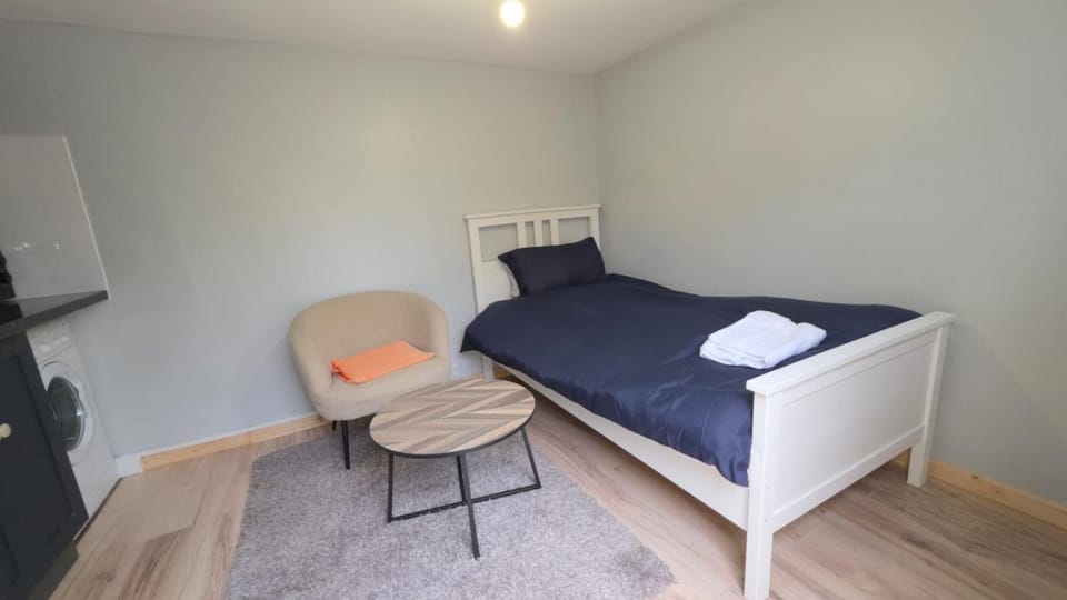 Bed, Living room, Photo of the whole room, Seating area, Bedroom