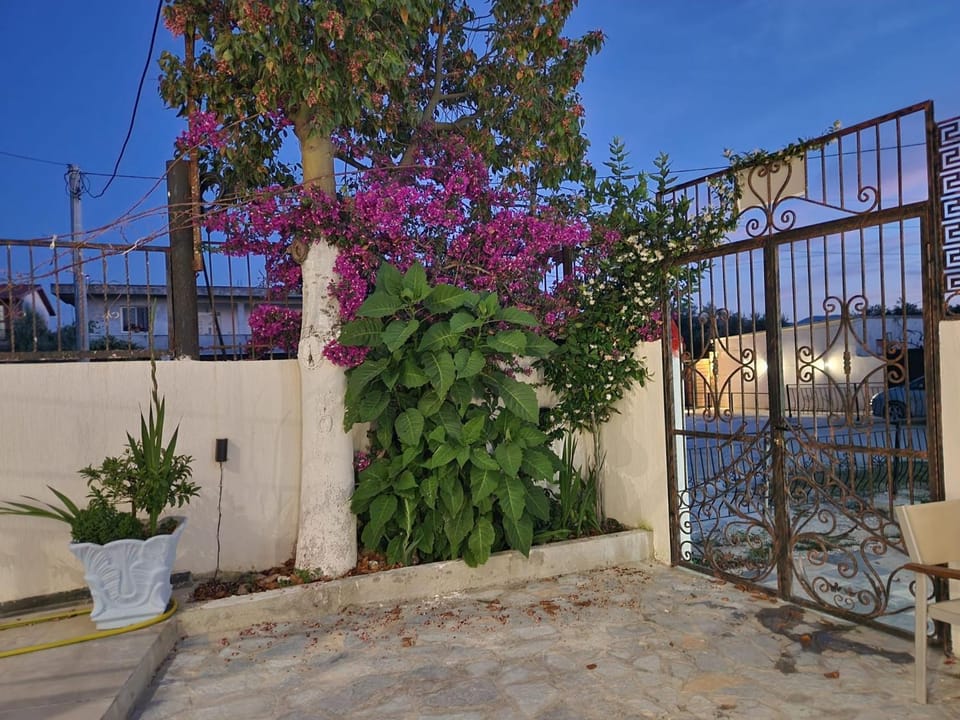 Chambre d'hôte Nino -5 Apartment in Vlorë