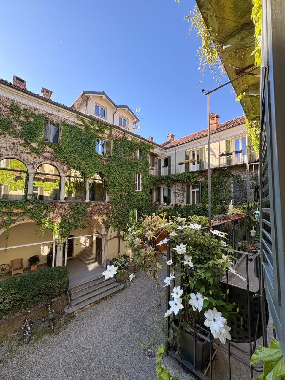 Garden view