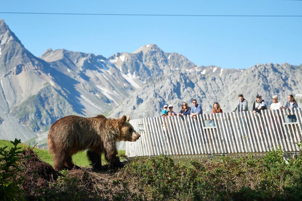Nearby landmark, Natural landscape, Animals, Mountain view