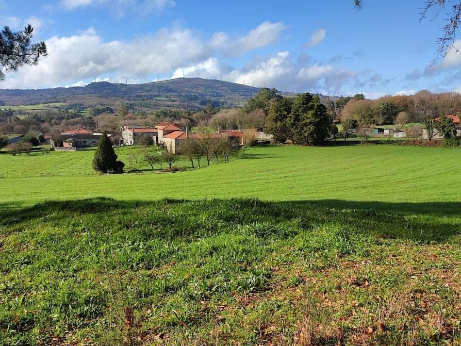 Spring, Garden view, Mountain view