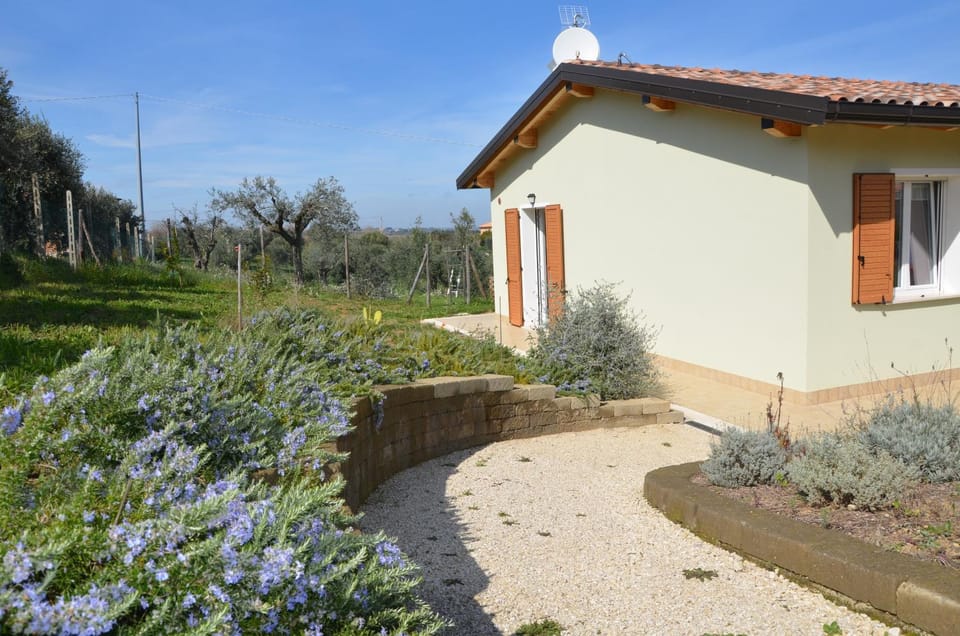 Property building, Spring