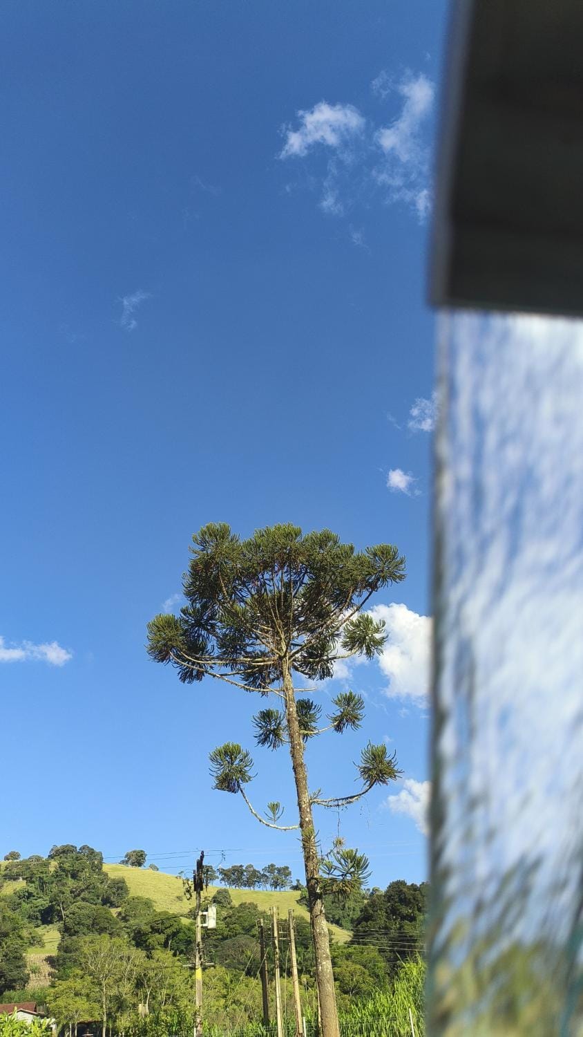 Pousada Vôo Livre - Natureza & Liberdade Vacation rental in State of São Paulo