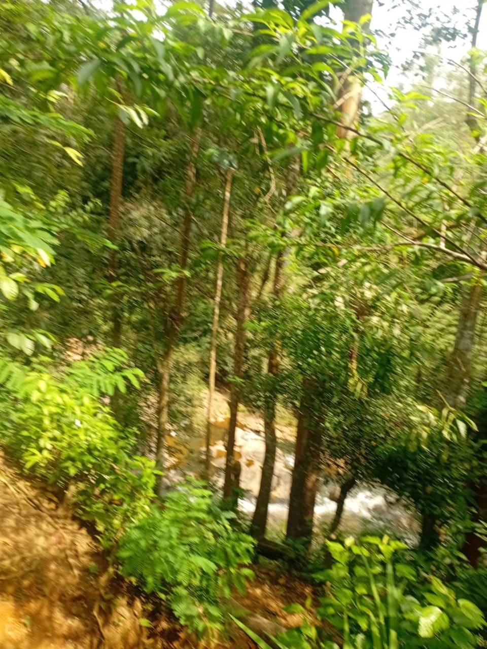River view