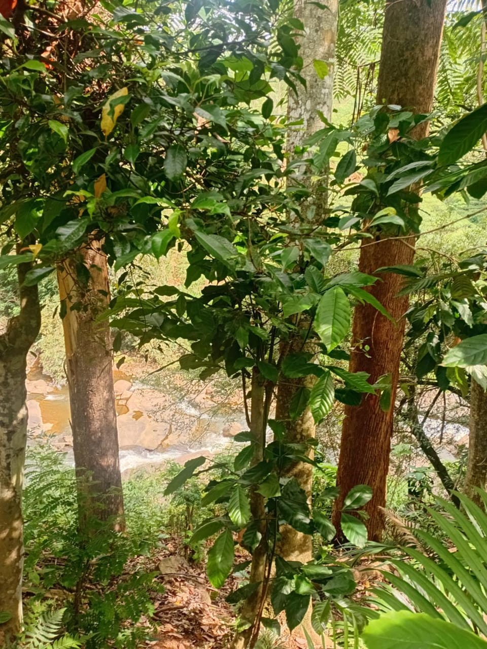 River View Inn Villa in Central Province