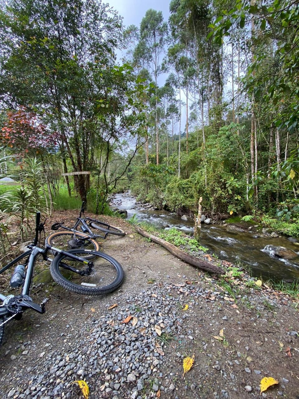 Casa de Campo privada Amoblada cerca a termales san Vicente House in Risaralda