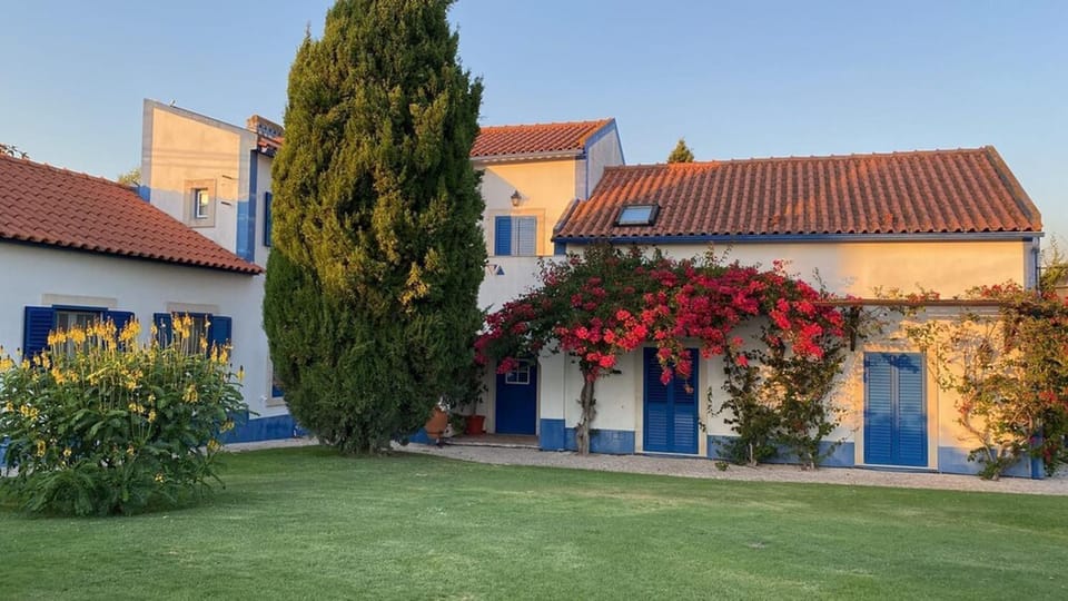 Property building, Spring, Garden