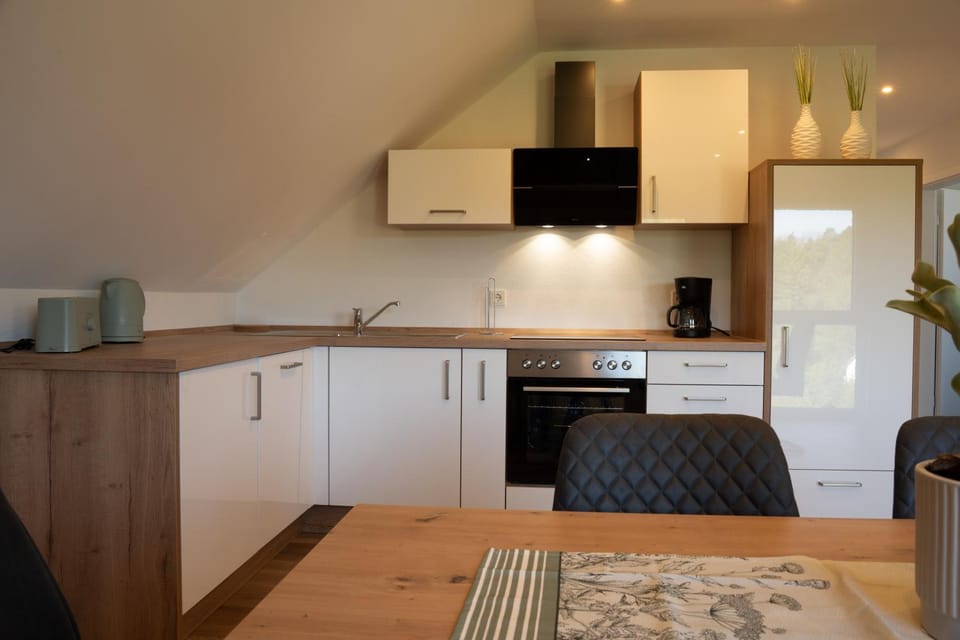 Kitchen or kitchenette, Dining area, oven, stove