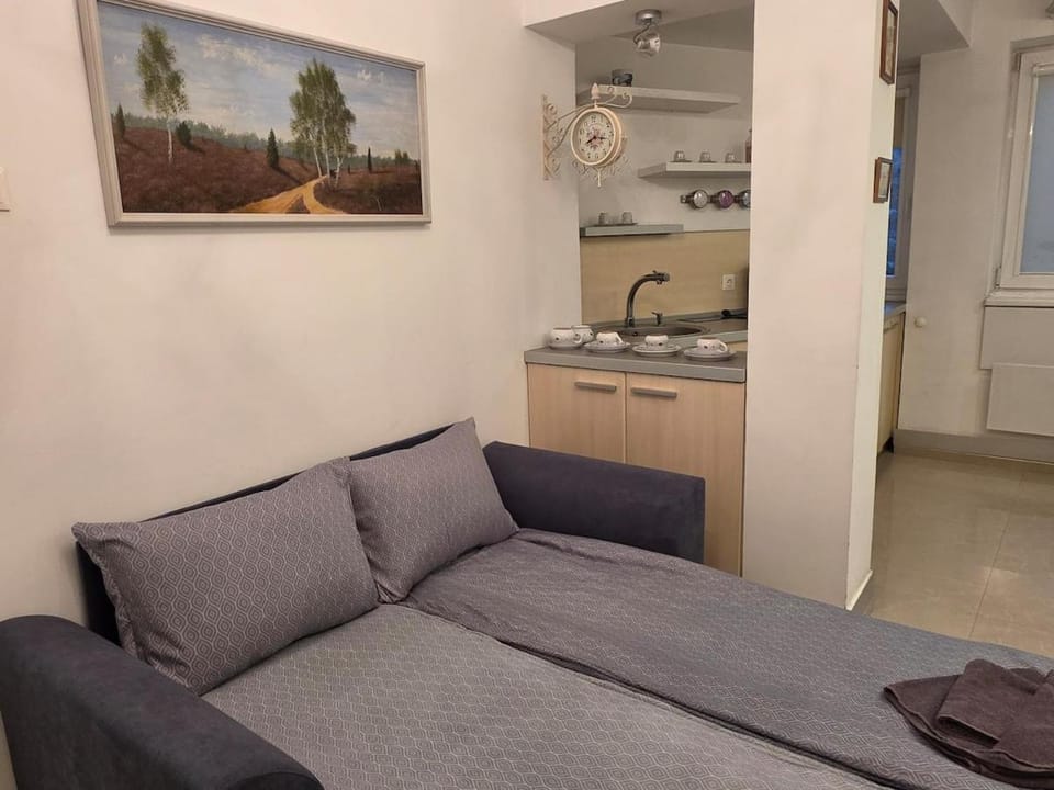 Bed, Kitchen or kitchenette, Living room