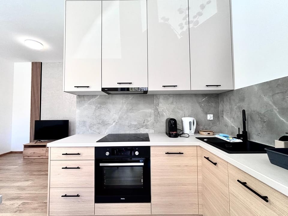 Kitchen or kitchenette, dishwasher, stove