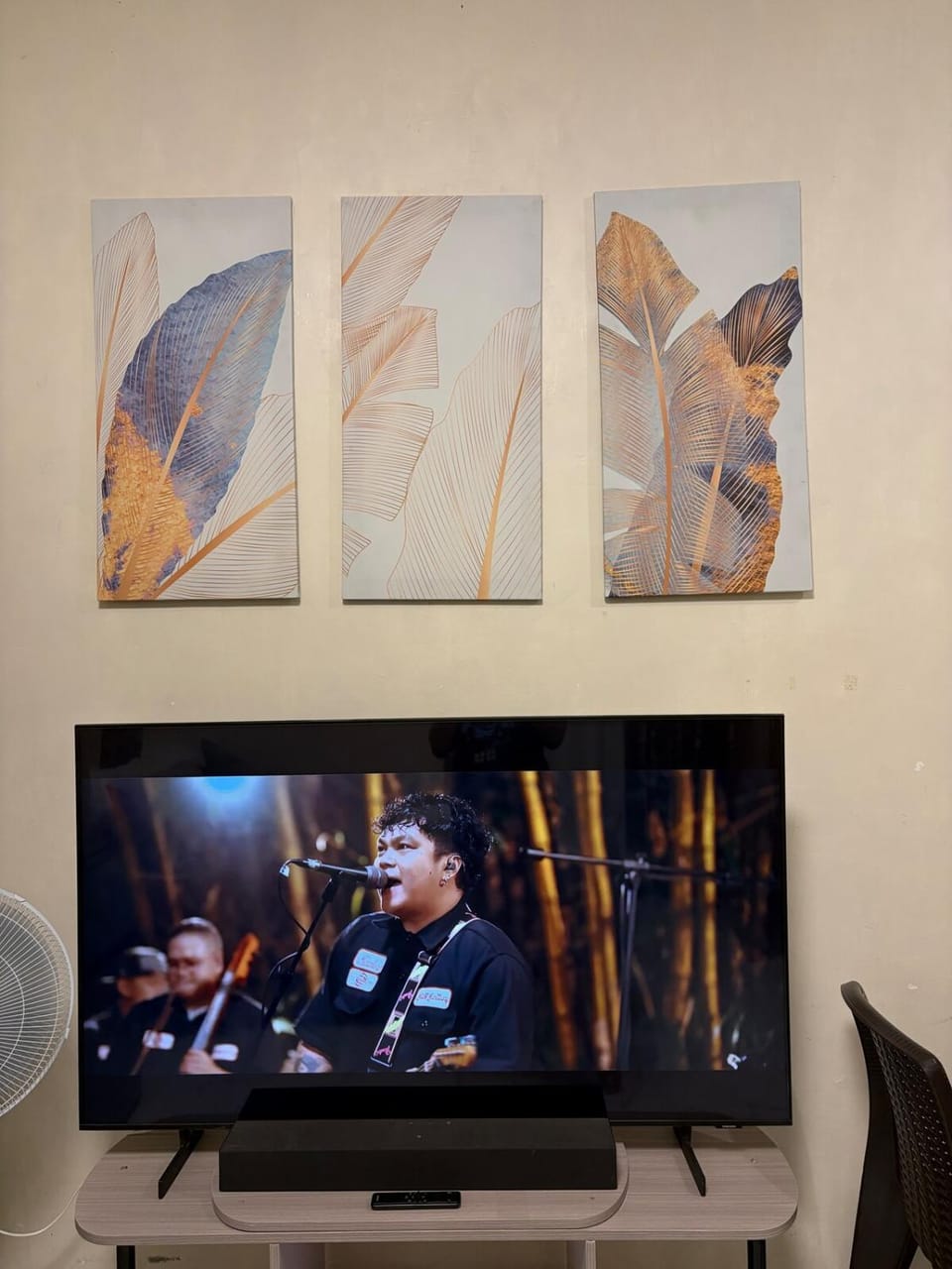 TV and multimedia