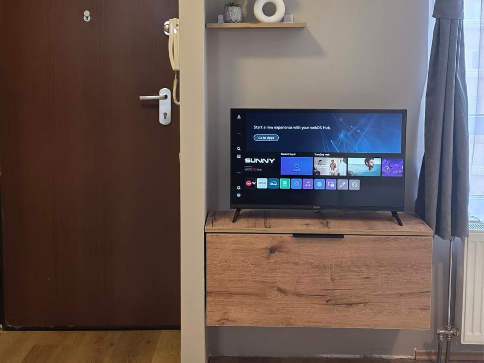 TV and multimedia