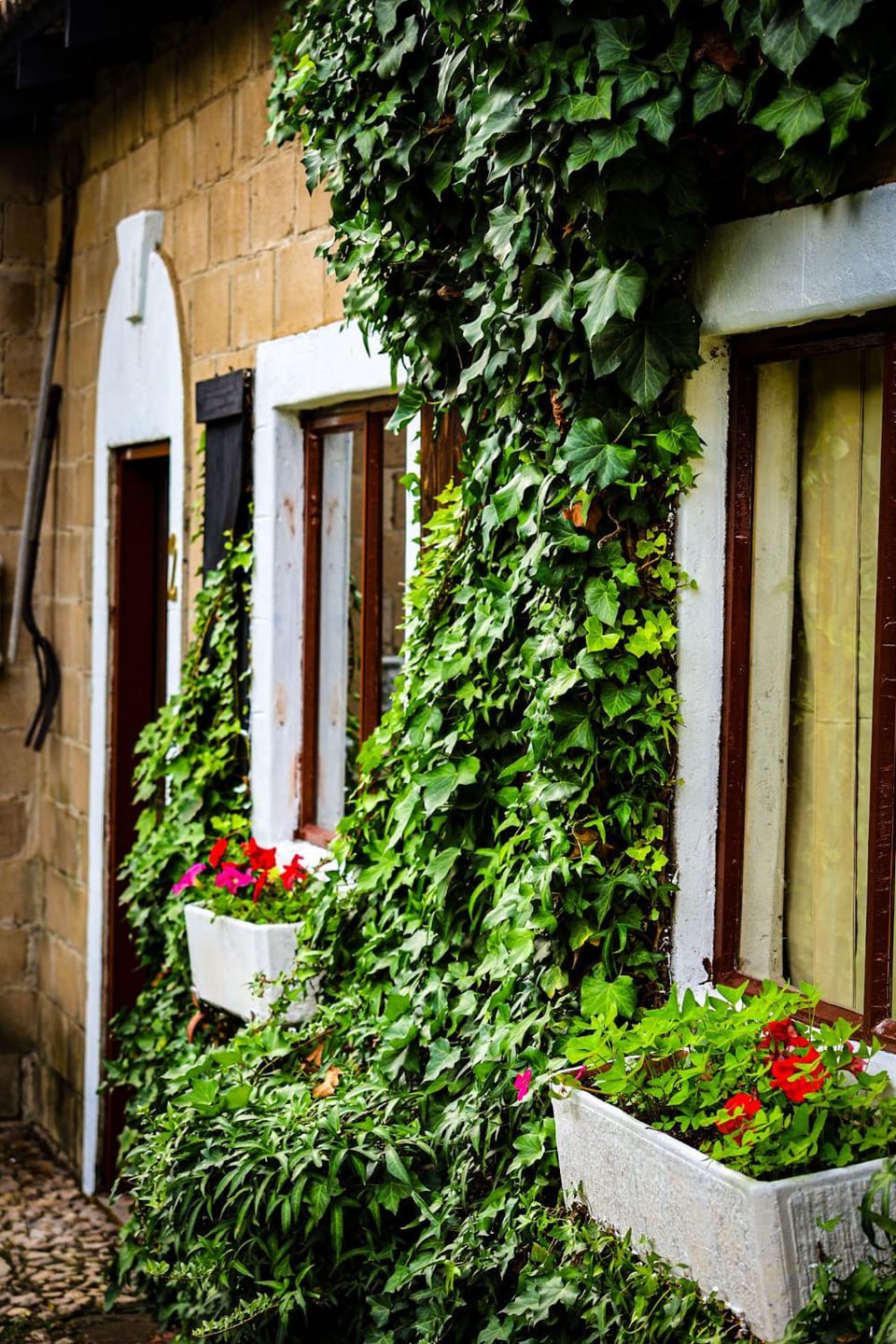 Mercy Tree Manor Bed and Breakfast in South Africa