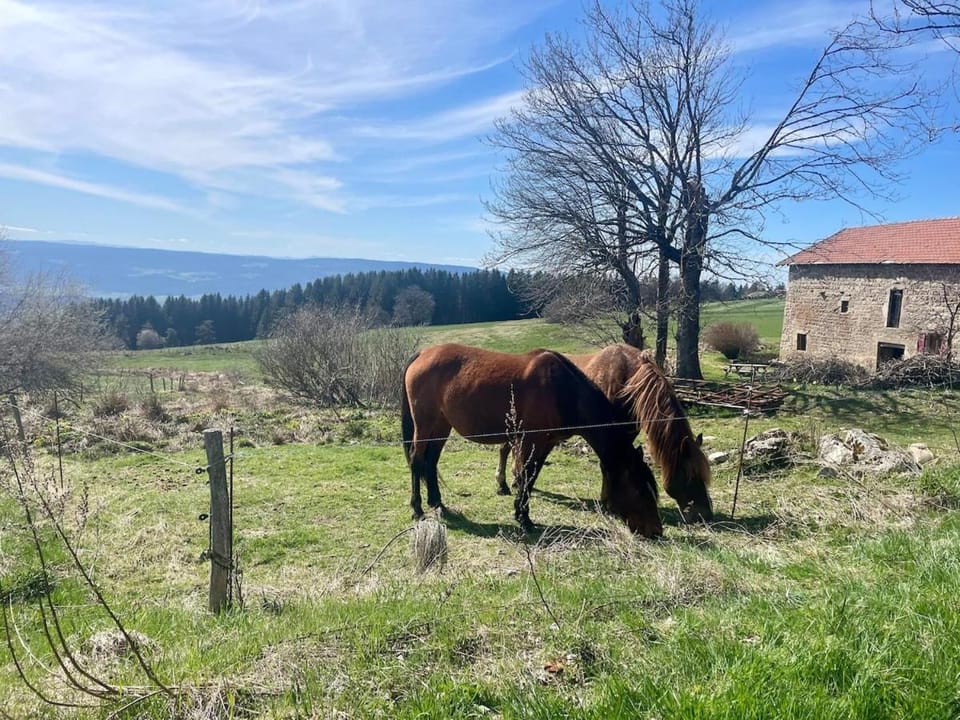 Petit chalet rénové Chalet in Auvergne-Rhône-Alpes