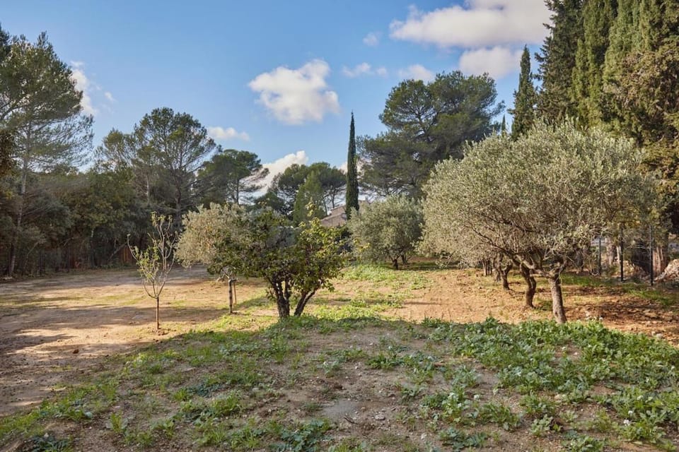 Maison Cireline au coeur de la Provence à Rognes House in Rognes