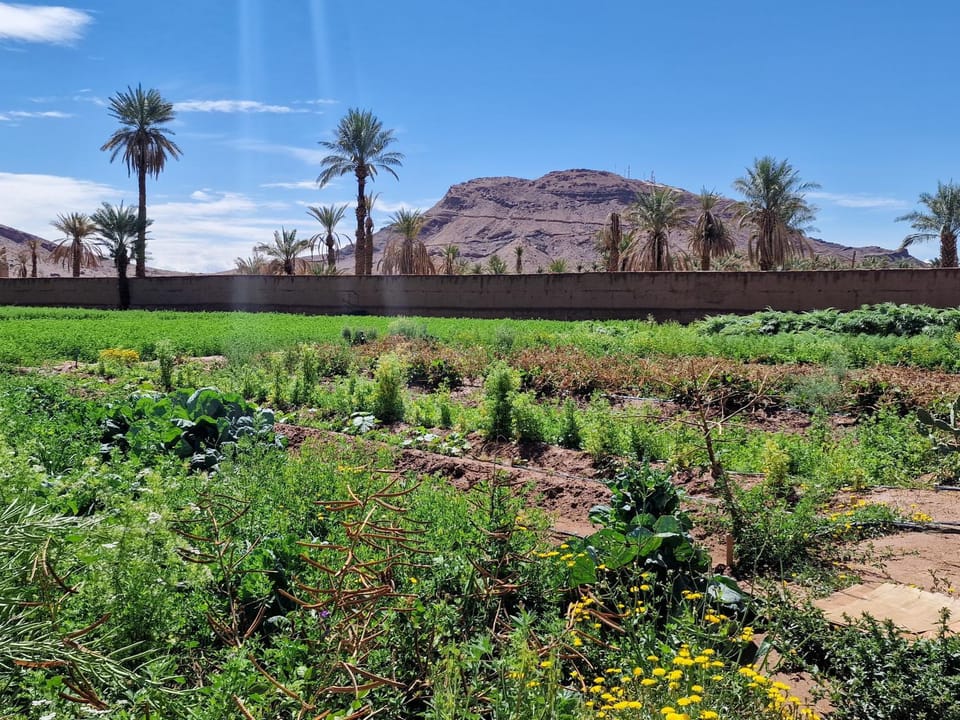 Nearby landmark, Spring, Day, Natural landscape, Garden, Garden view, Mountain view
