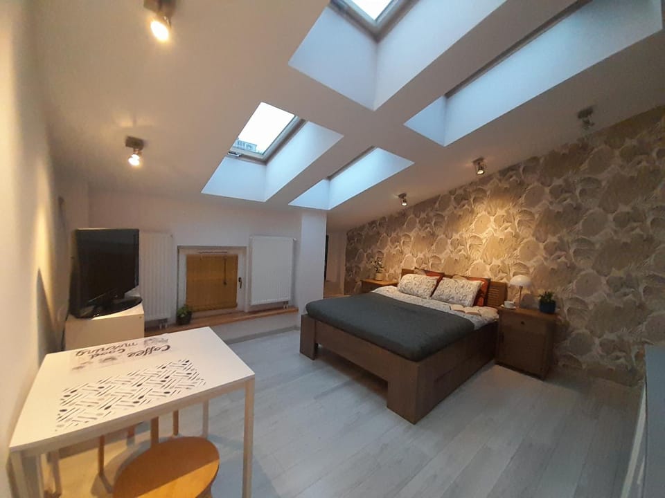 Old Town Premium Apartment Kazimierz - Synagogue view Apartment in Krakow