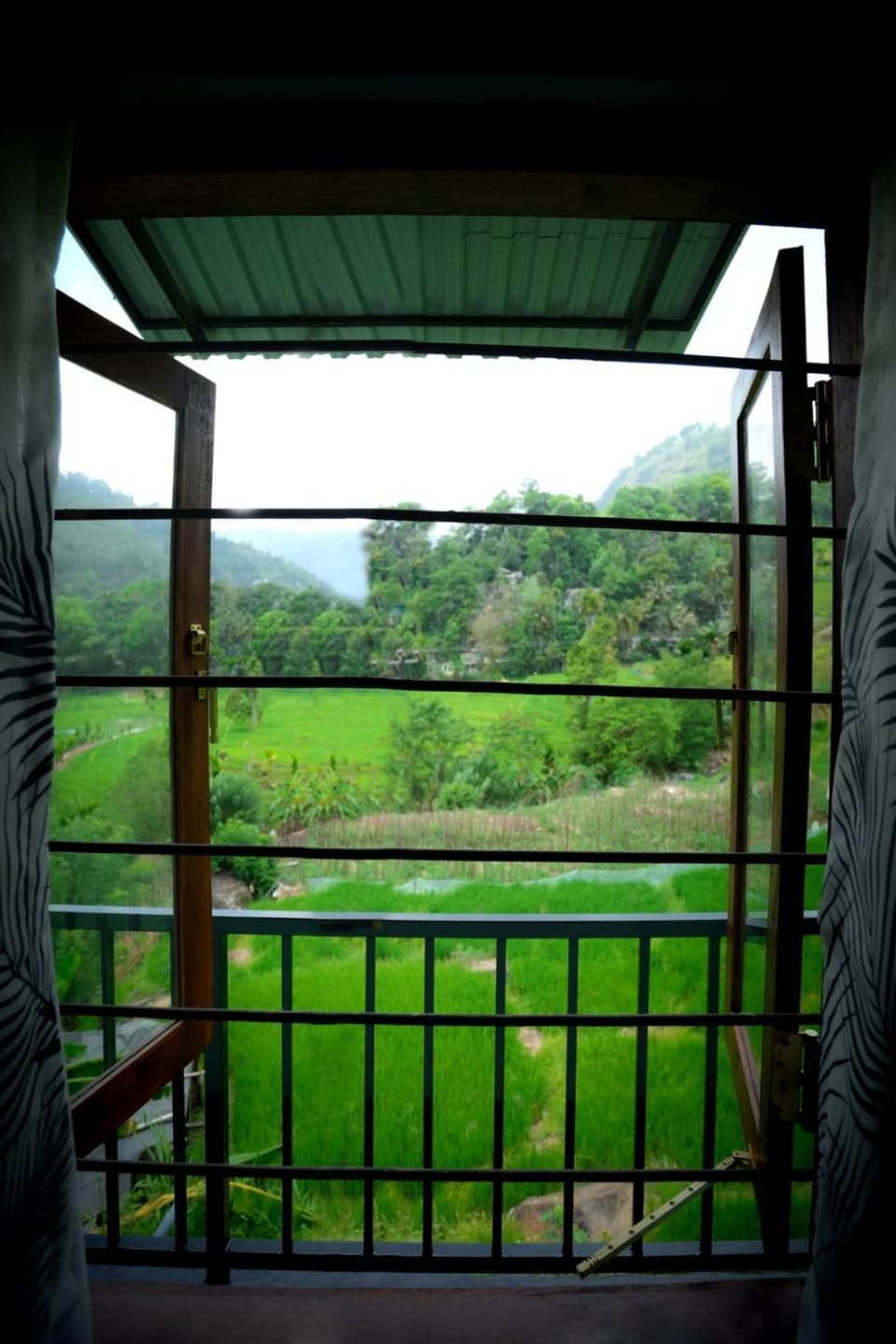 View (from property/room)