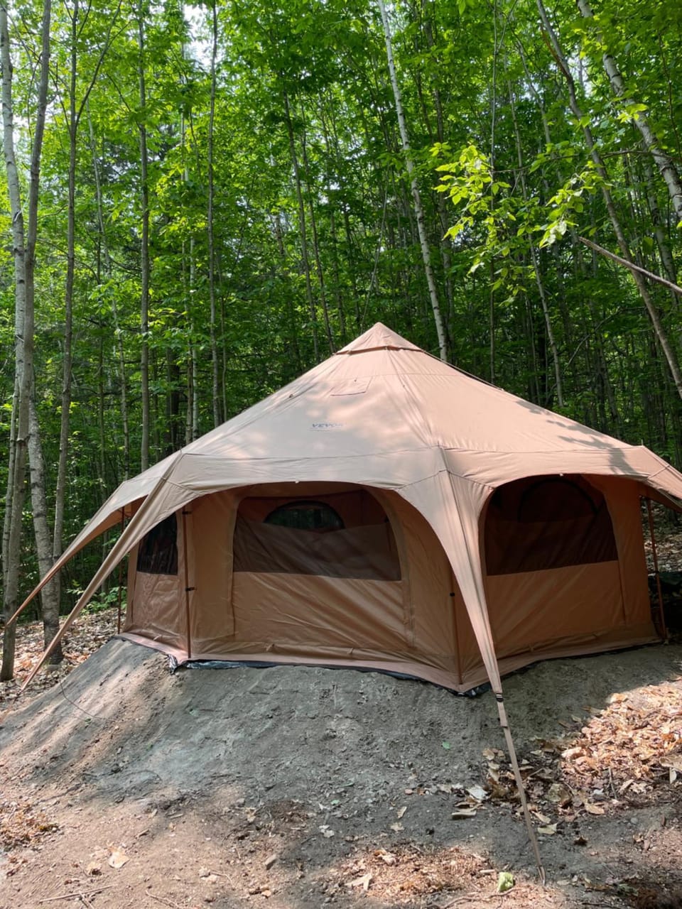 Forest Yurt Luxury tent in Lovell
