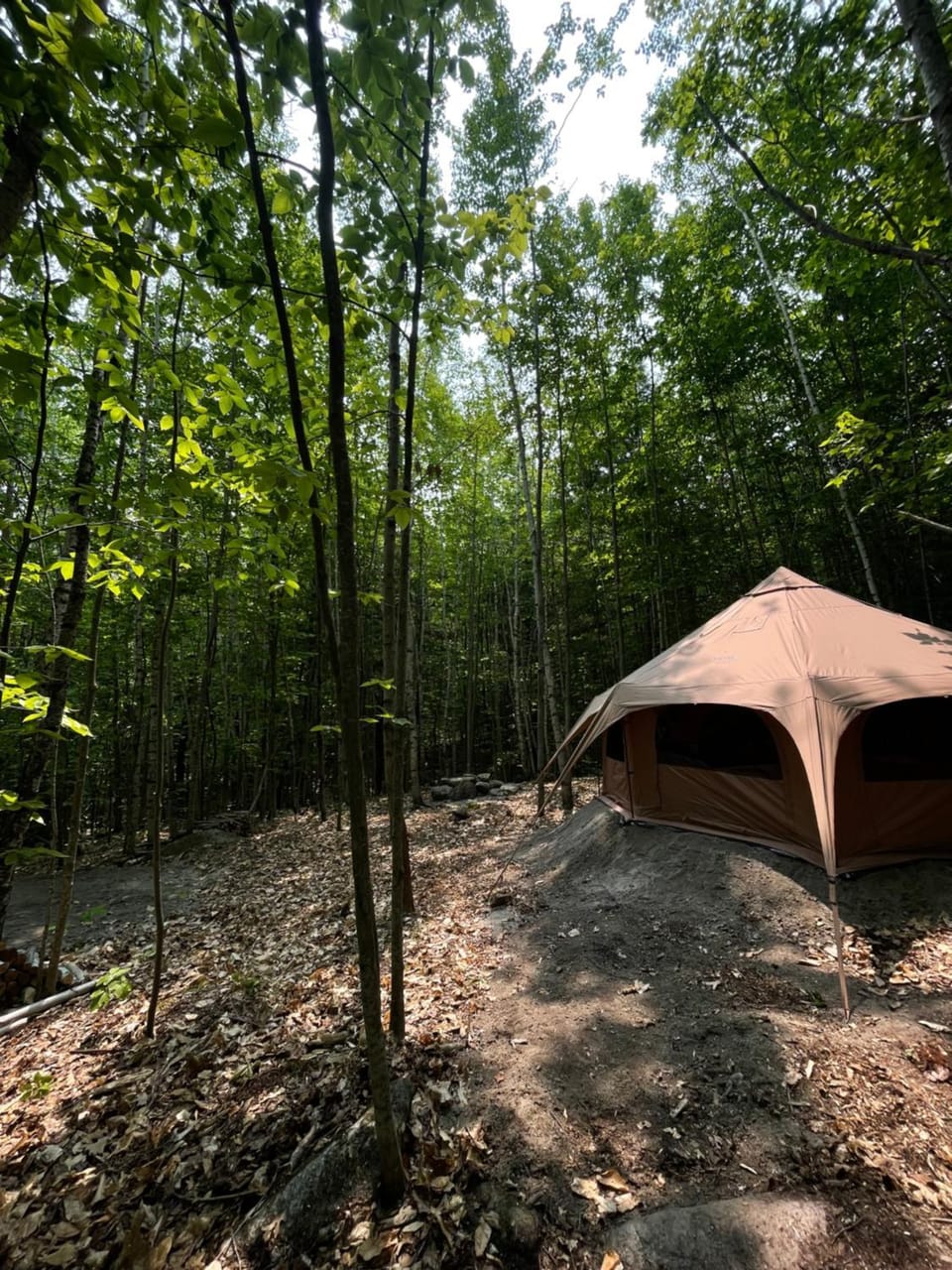 Forest Yurt Luxury tent in Lovell