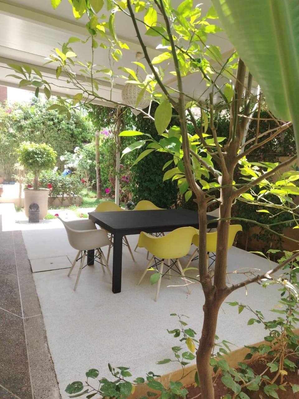 Patio, Garden, Dining area, Garden view