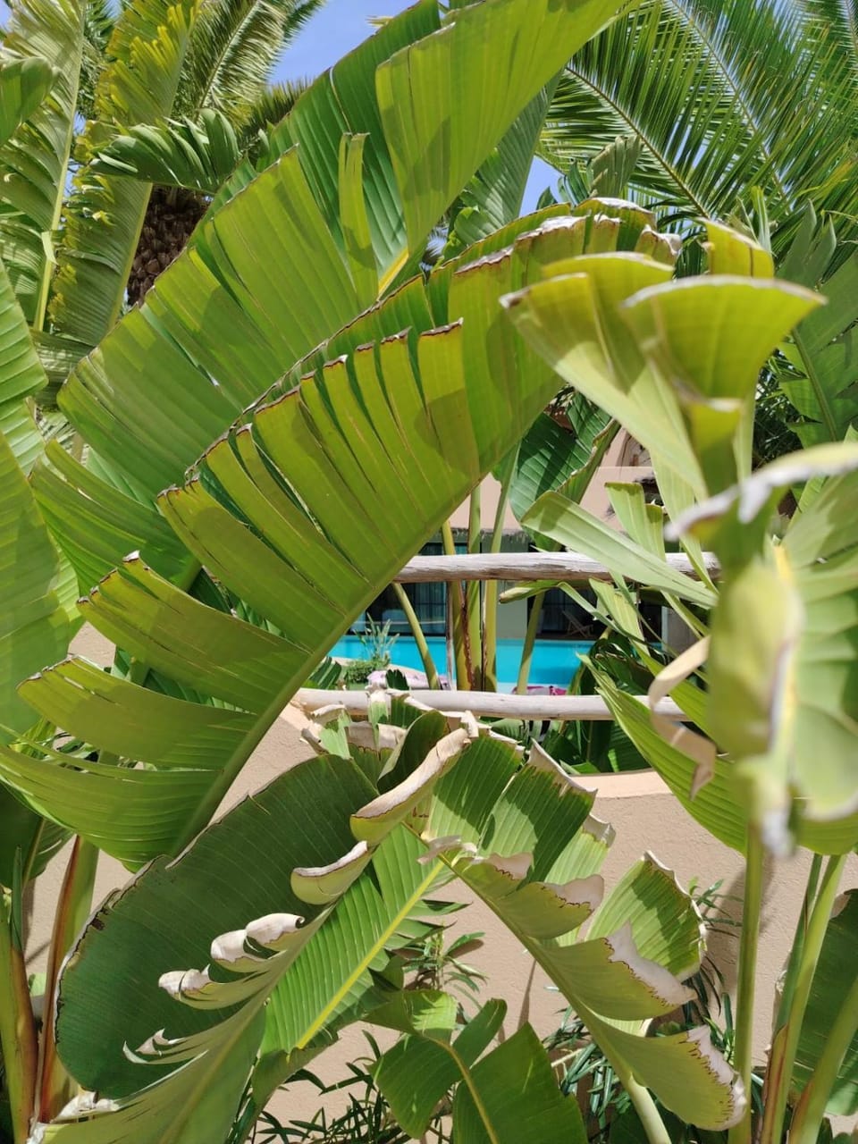 Day, Natural landscape, Pool view