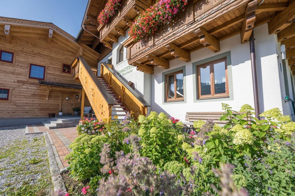 Property building, Summer